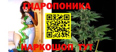 молекула духа Донской