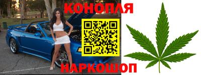 a pvp Дубна