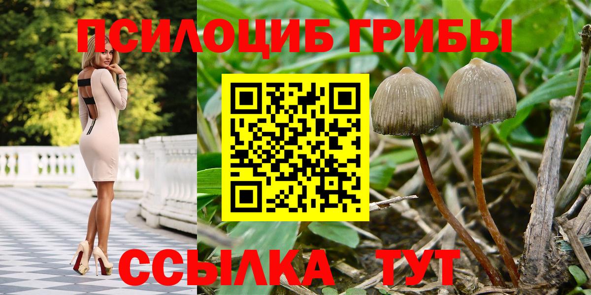 Псилоцибиновые грибы ЛСД Минеральные Воды