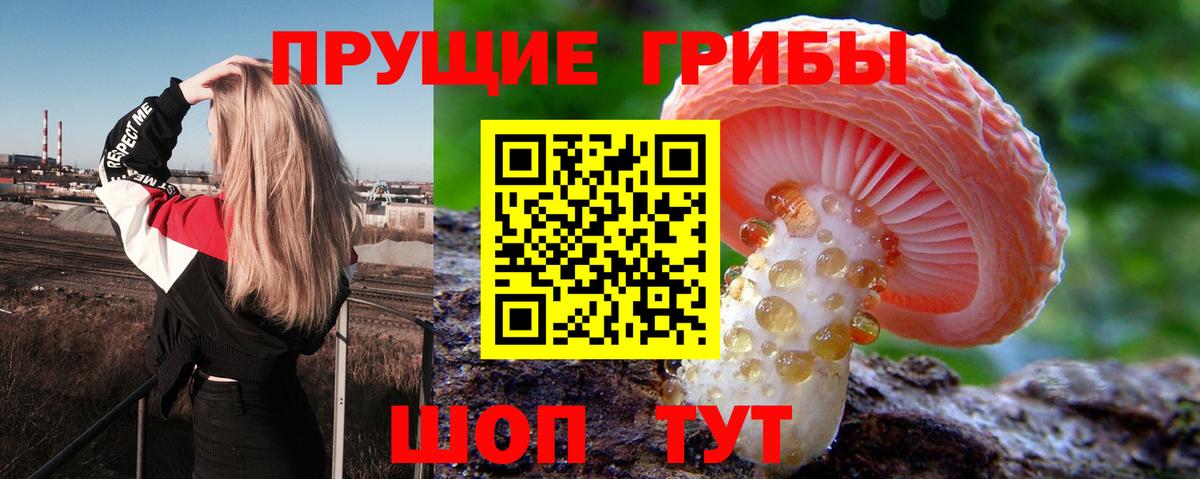 АМФЕТАМИН Минеральные Воды