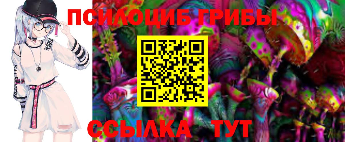 Галлюциногенные грибы мицелий  Вход с VPN  Минеральные Воды 